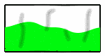 fahne1